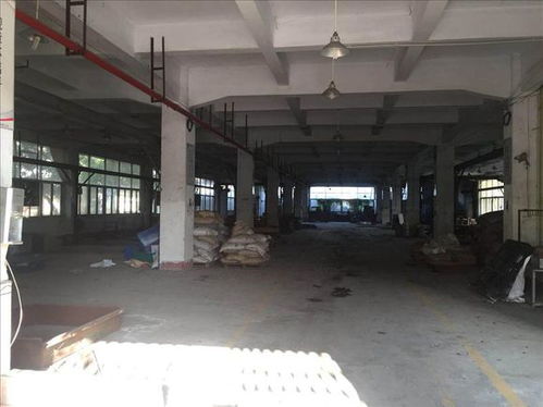 厦门市房屋加装电梯结构安全检测费用解析 每平方米价格与流程一览